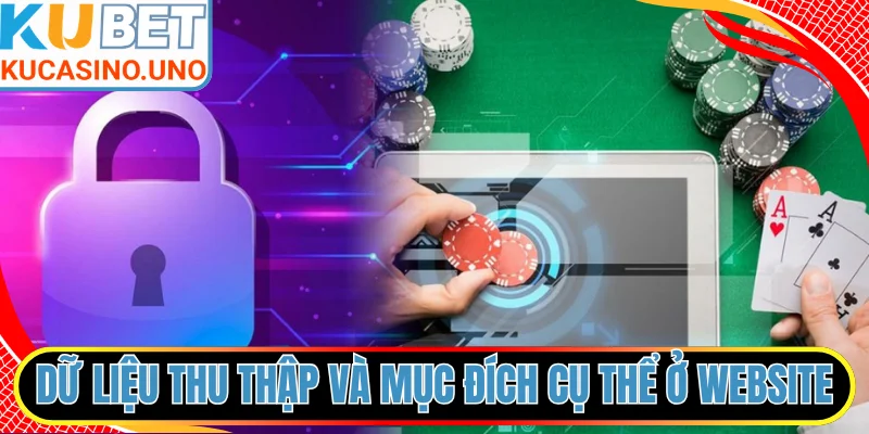Dữ liệu thu thập và mục đích cụ thể ở website