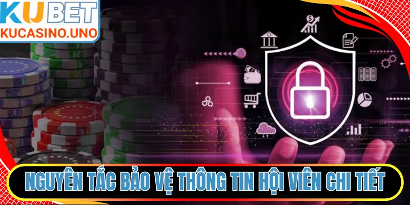 Nguyên tắc bảo vệ thông tin hội viên chi tiết